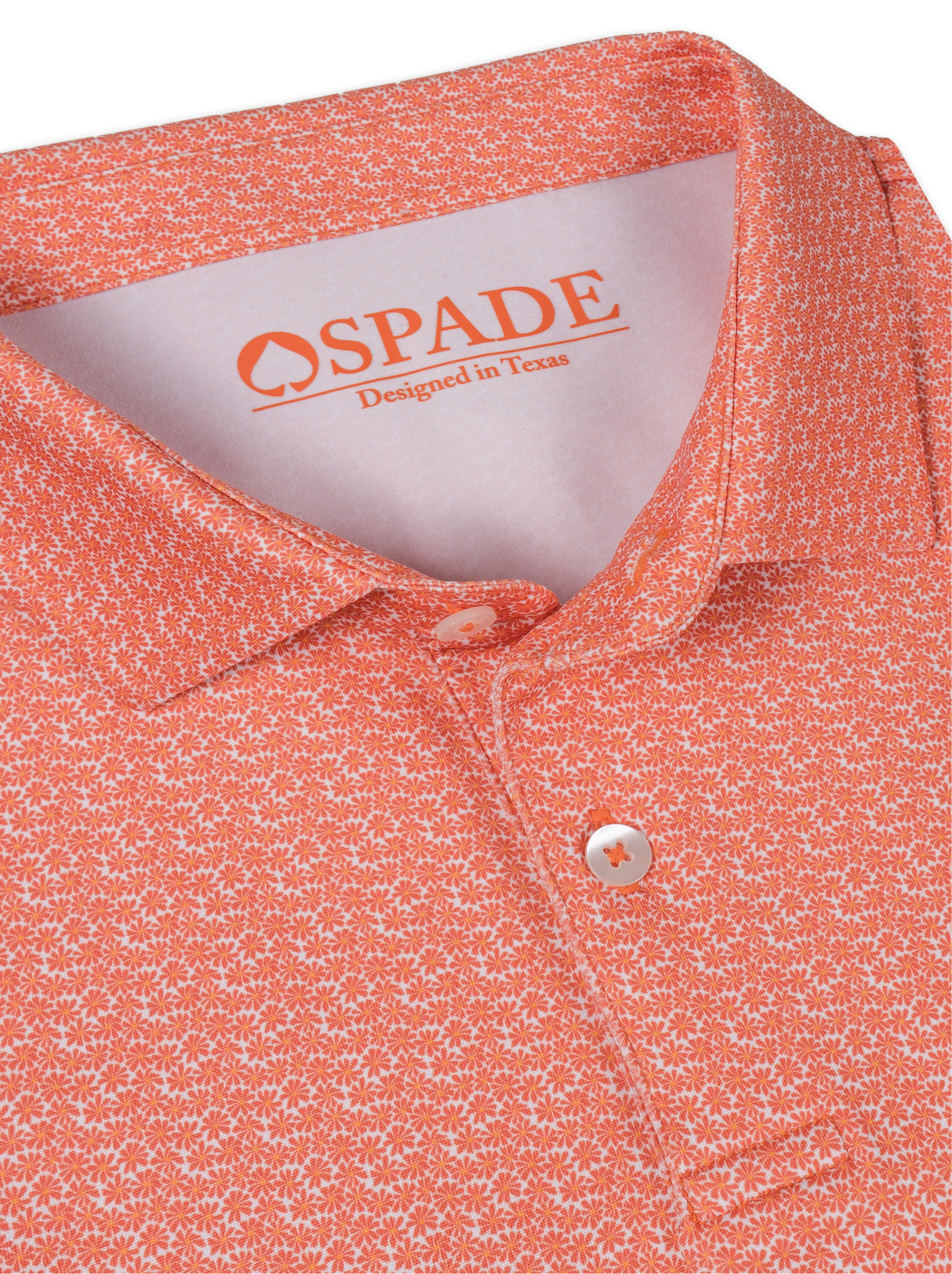 Bloom Club Performance